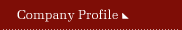 company profile